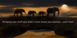 Elephants bringing you stuff you didn't even know you wanted