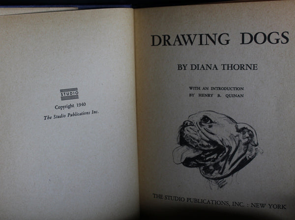 Very Rare Vintage Drawing Dogs by Diana Thorne, 1940