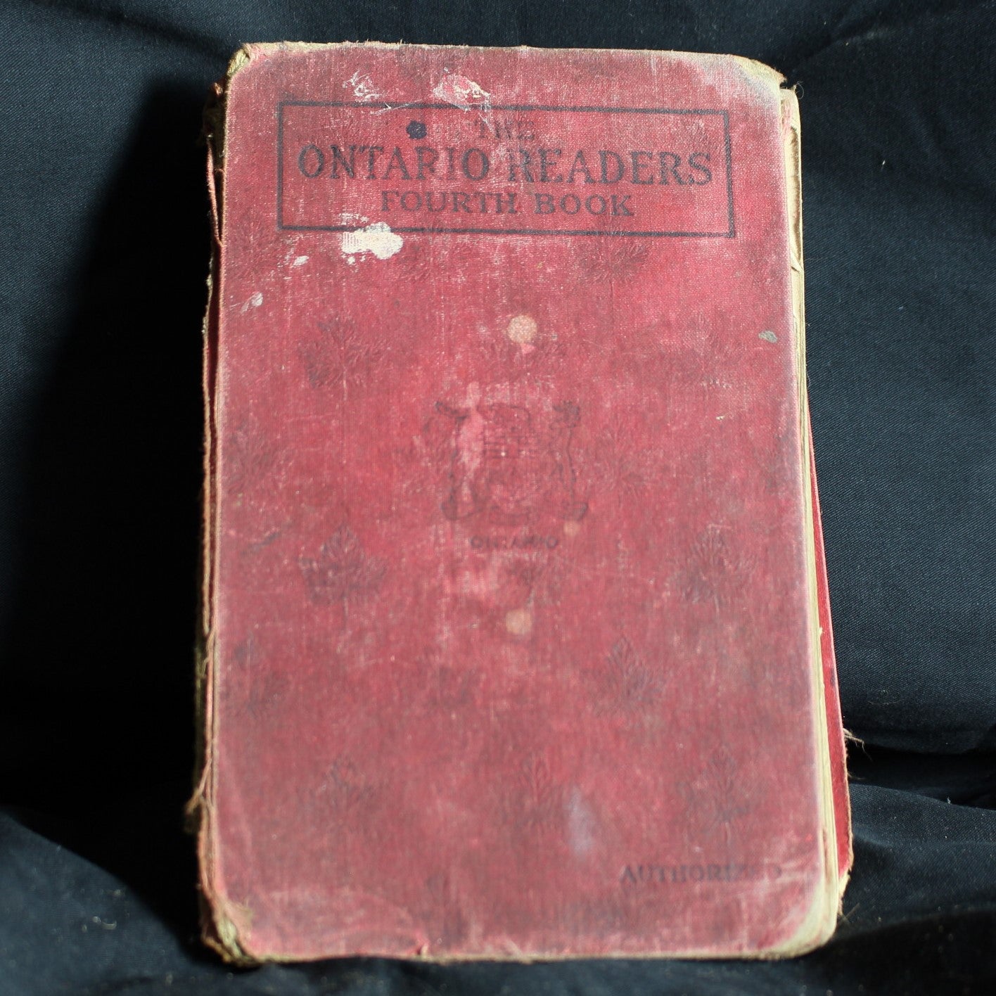 Vintage Hardcover The Ontario Readers, Fourth Book, 1925