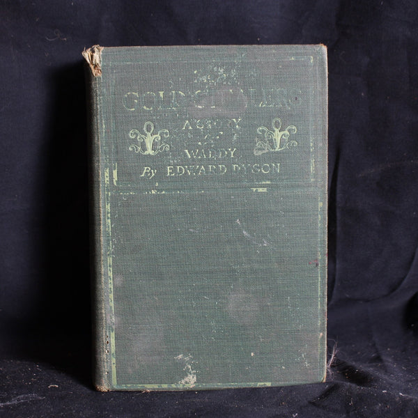Hardcover First Edition The Gold Stealers by Edward Dyson, 1902