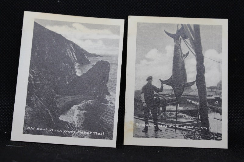 Cabot Trail and Swordfish Vintage Lot of 20 Cape Breton, Nova Scotia Black and White Mini Postcards 1955, Never Used